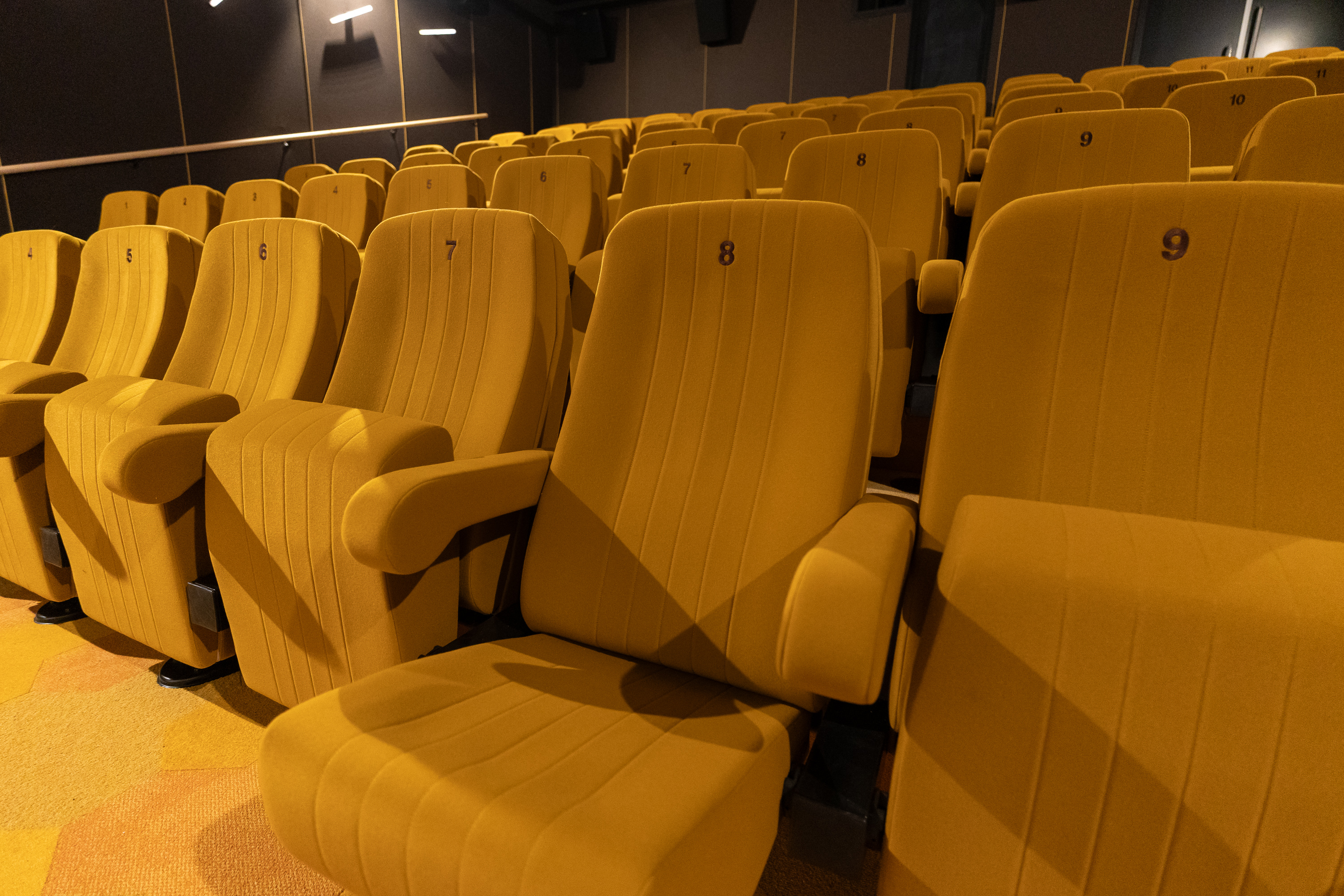 FilmTheater FilmkrantDag-006.jpg